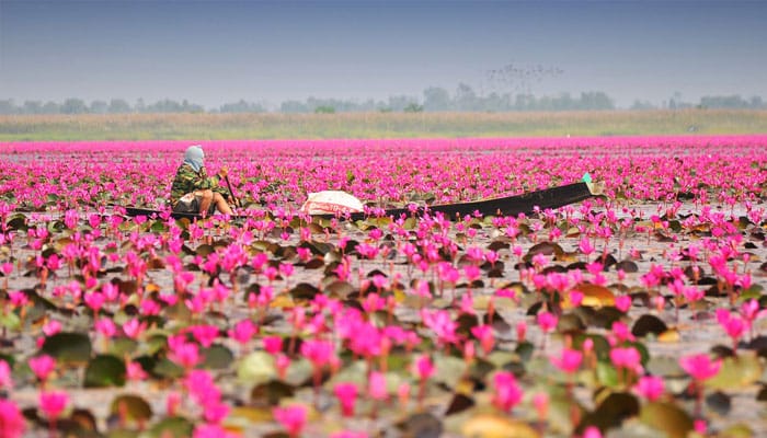Thaïlande