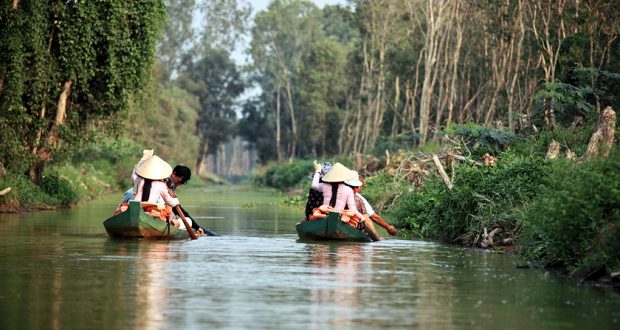 Site écotouristique Gao Giong à Dong Thap