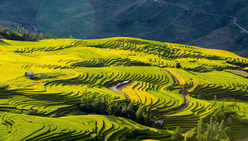 Sam nous raconte son trek à Lao Than 2.860 m au nord Vietnam